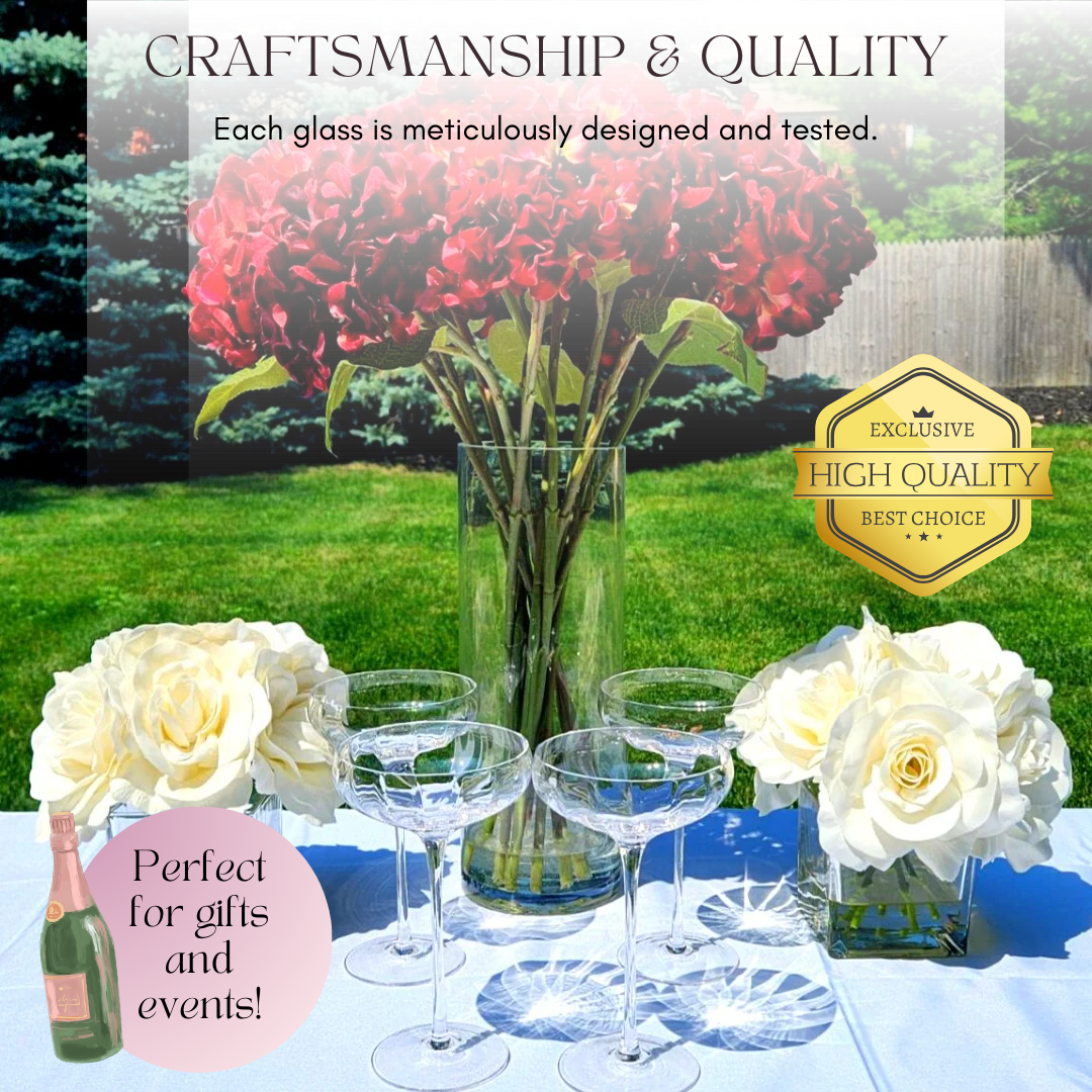Modern Rounded Coupe Glasses - Set of 4