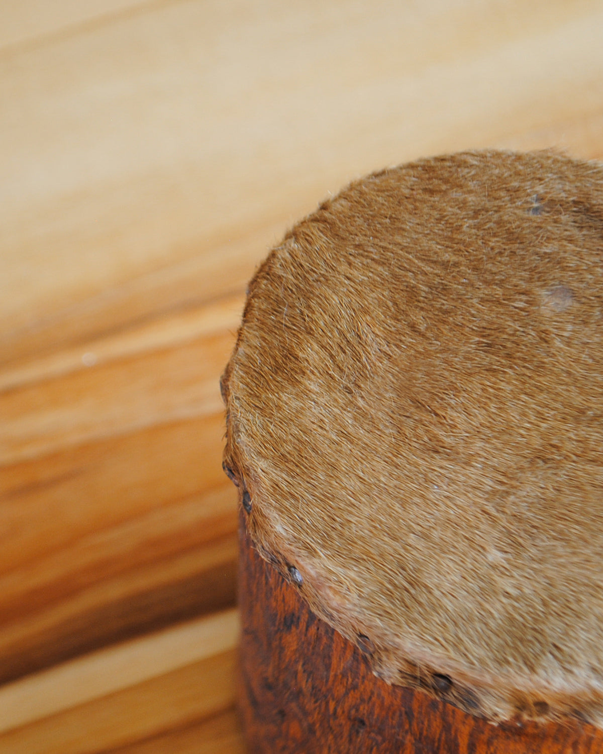 Small Animal Hide Decoratvie Drum