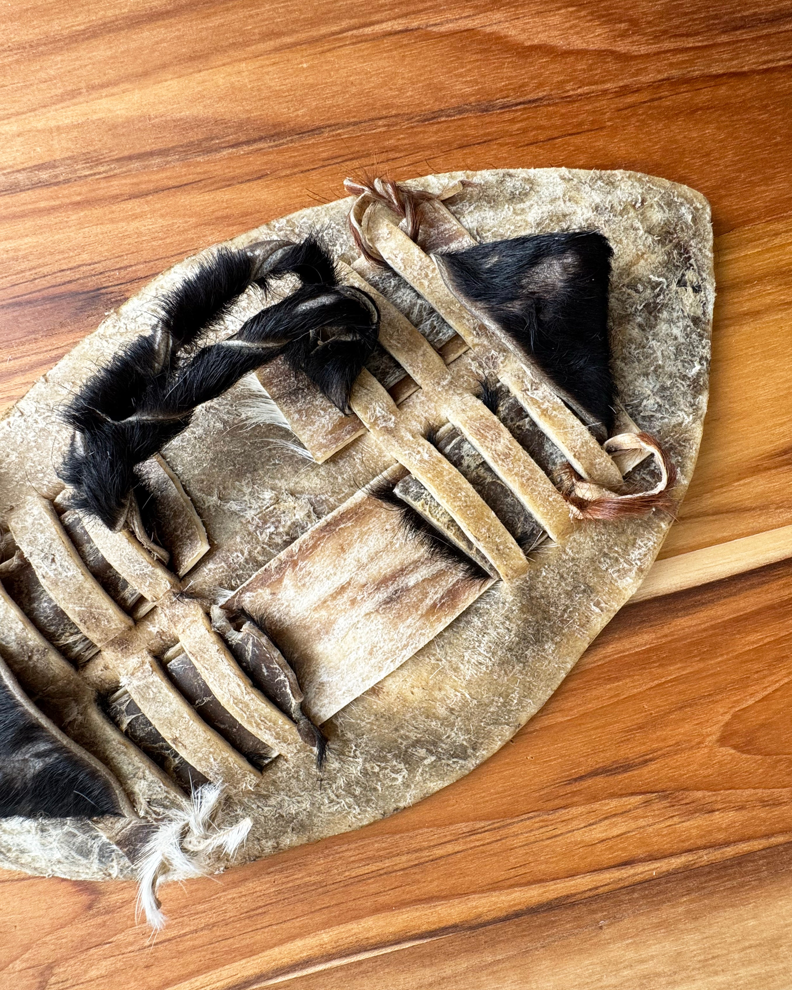 Small Animal Skin Shield