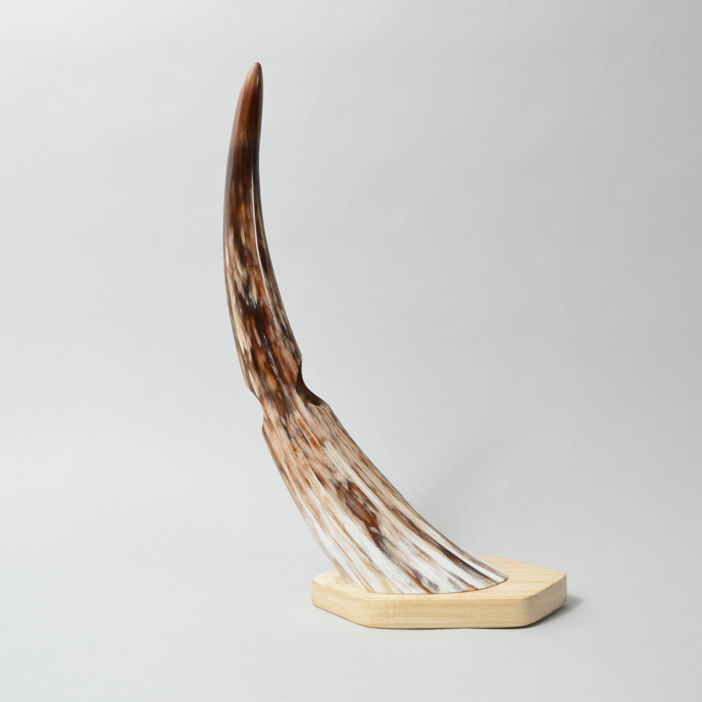 Balanced Horn Wine Bottle Holder