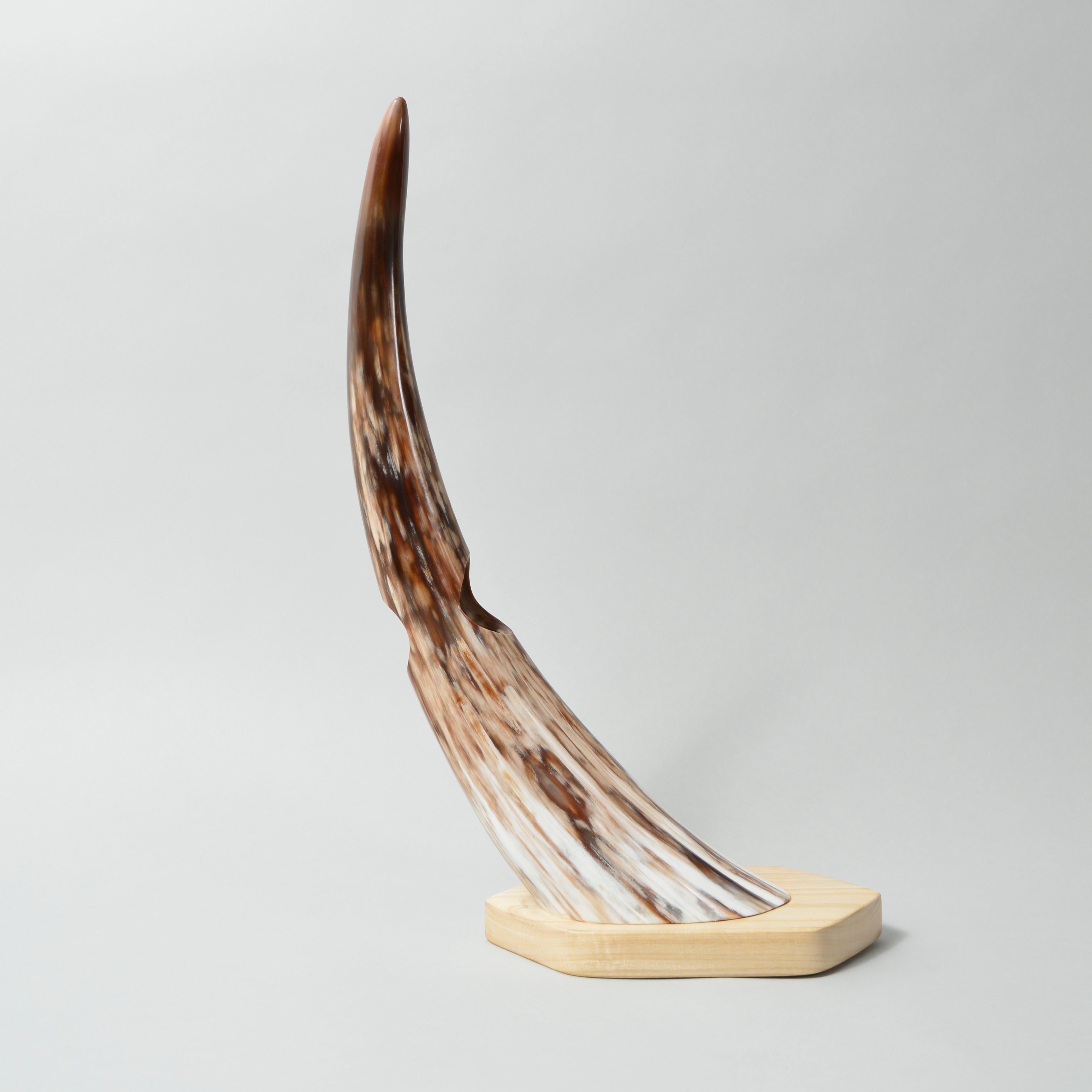 Balanced Horn Wine Bottle Holder
