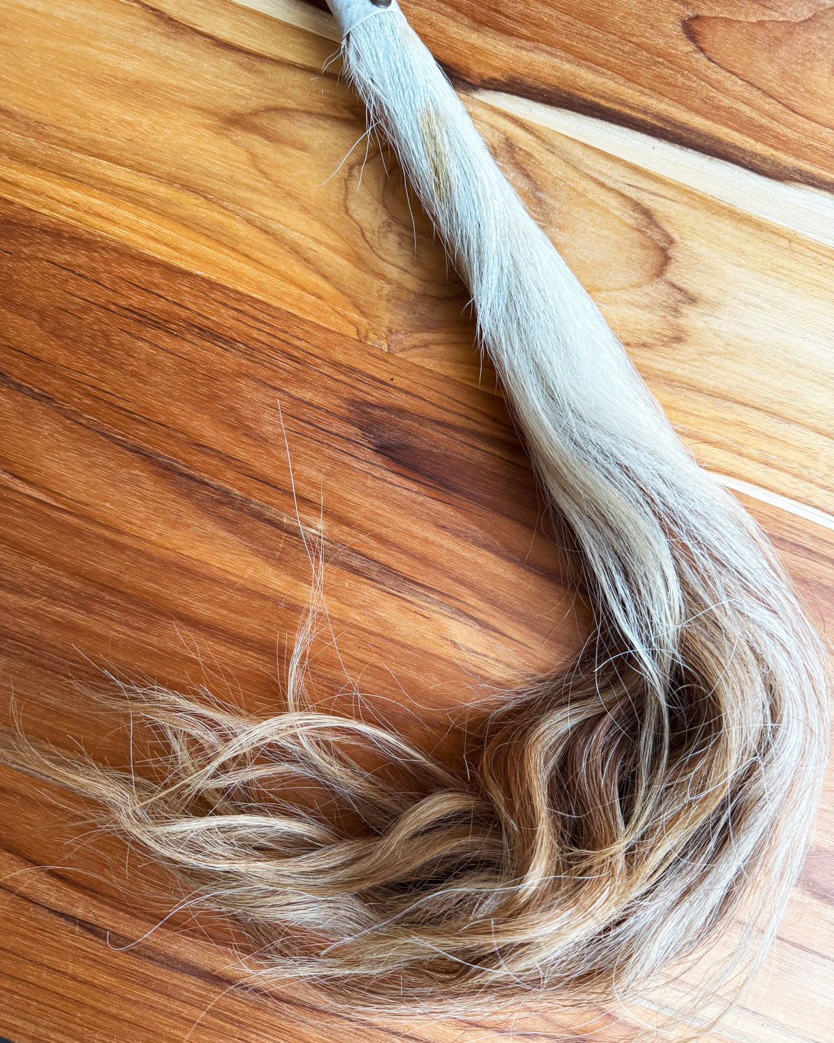 Vintage Horse Hair Fly Whisk