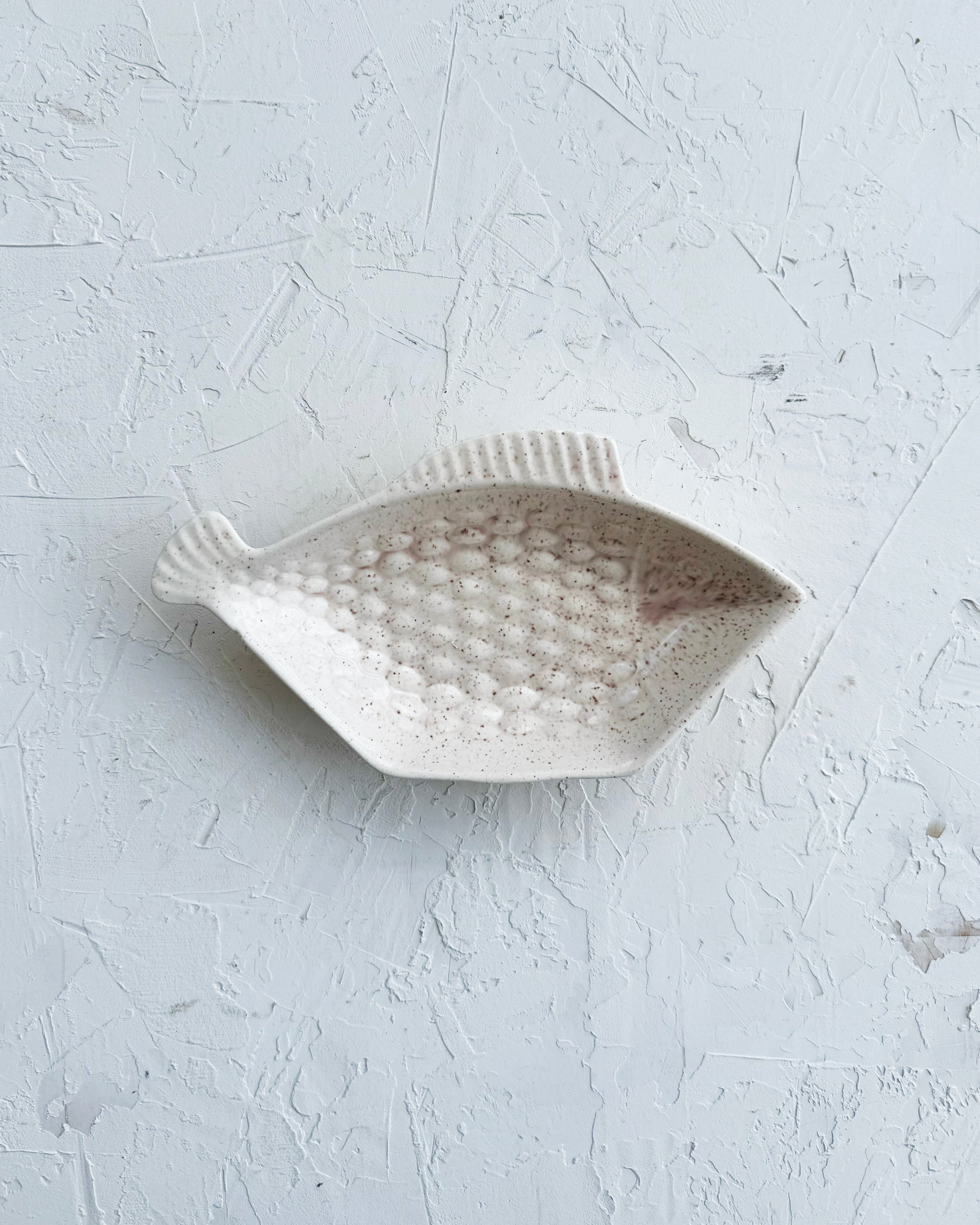 Fish Catchall