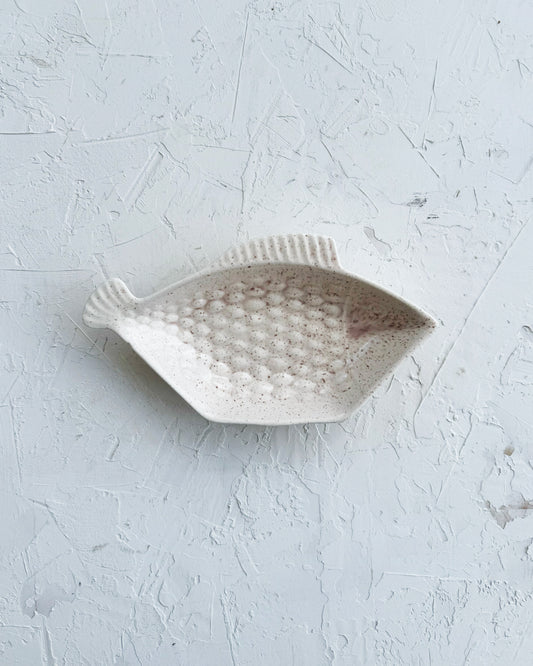 Fish Catchall