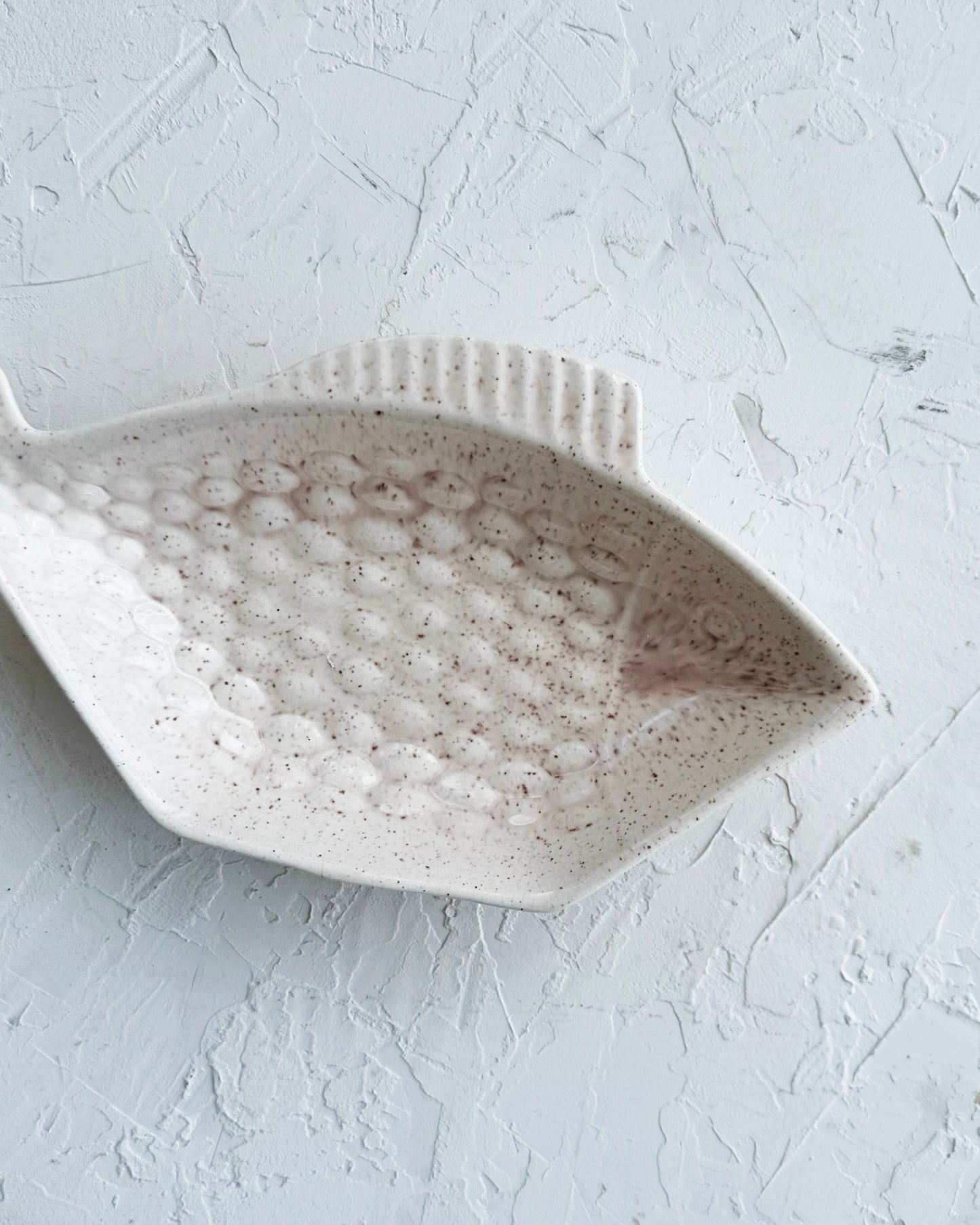 Fish Catchall