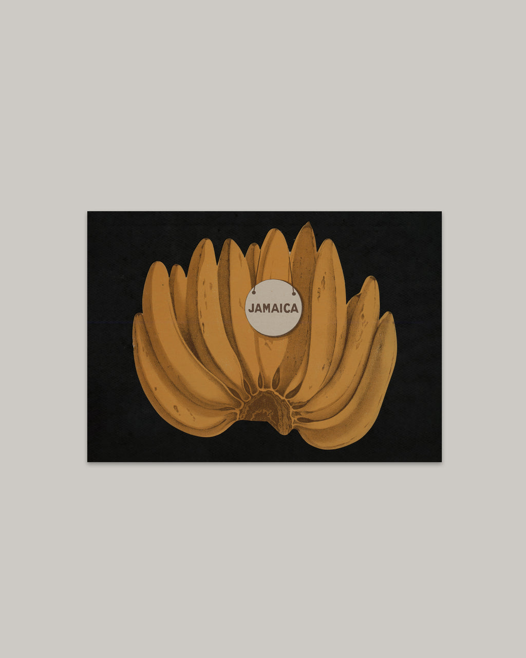 Jamaica Bananas Art Print