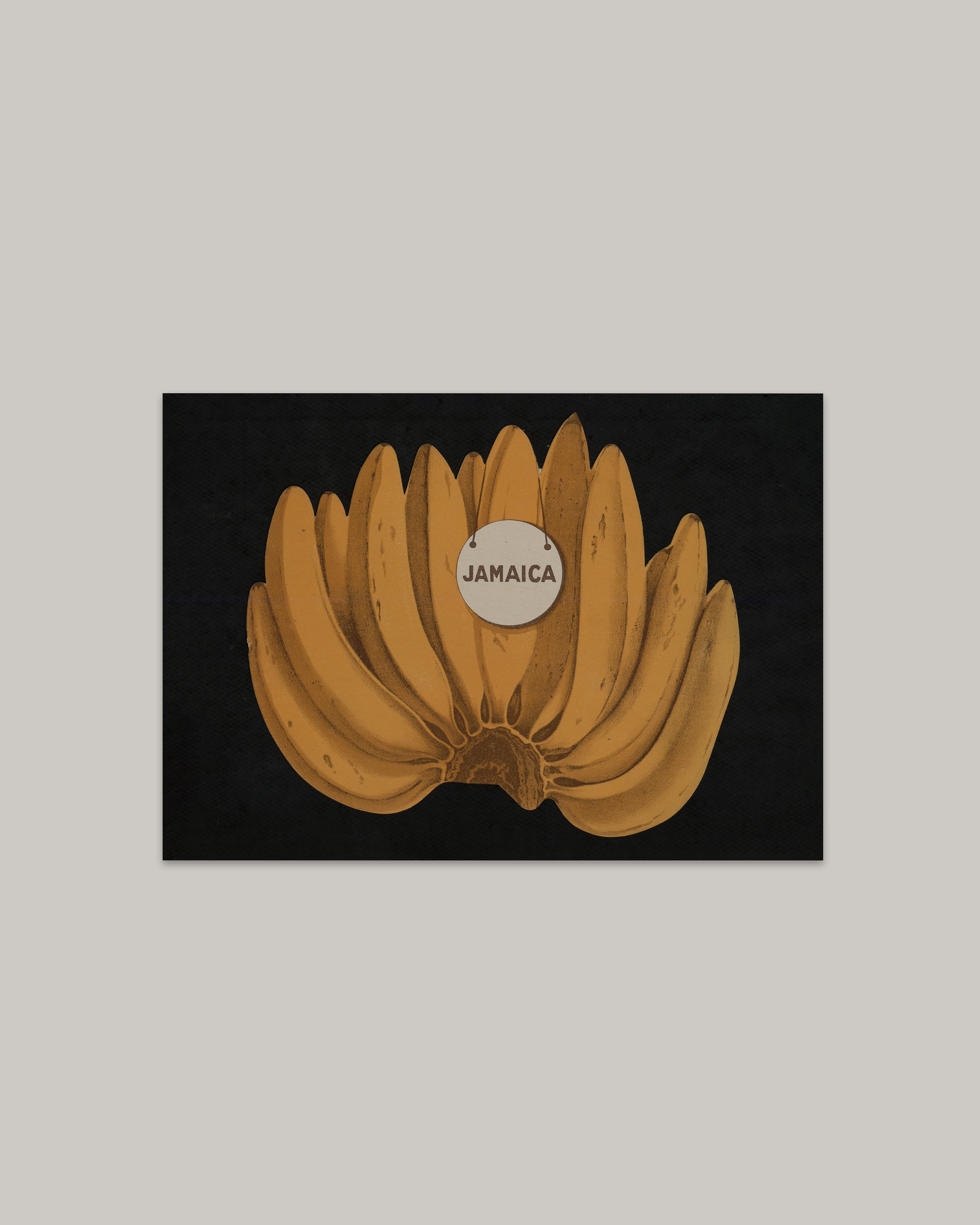 Jamaica Bananas Art Print