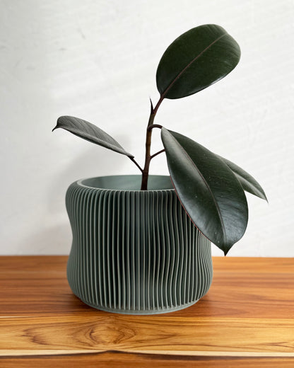 Bubbly Textured Planter