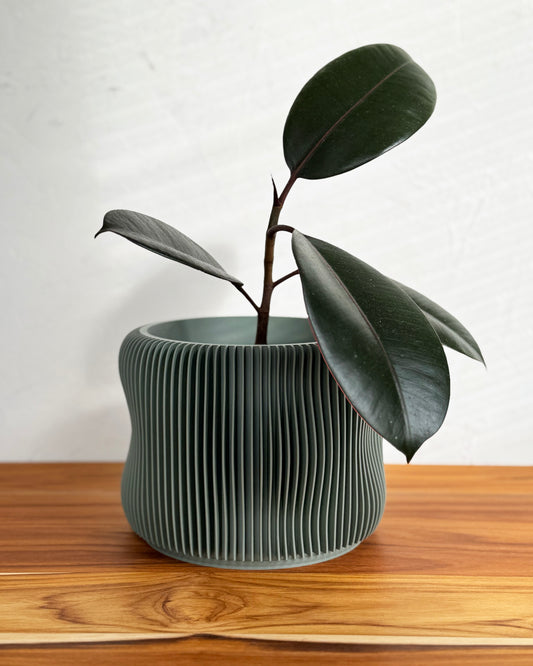 Bubbly Textured Planter