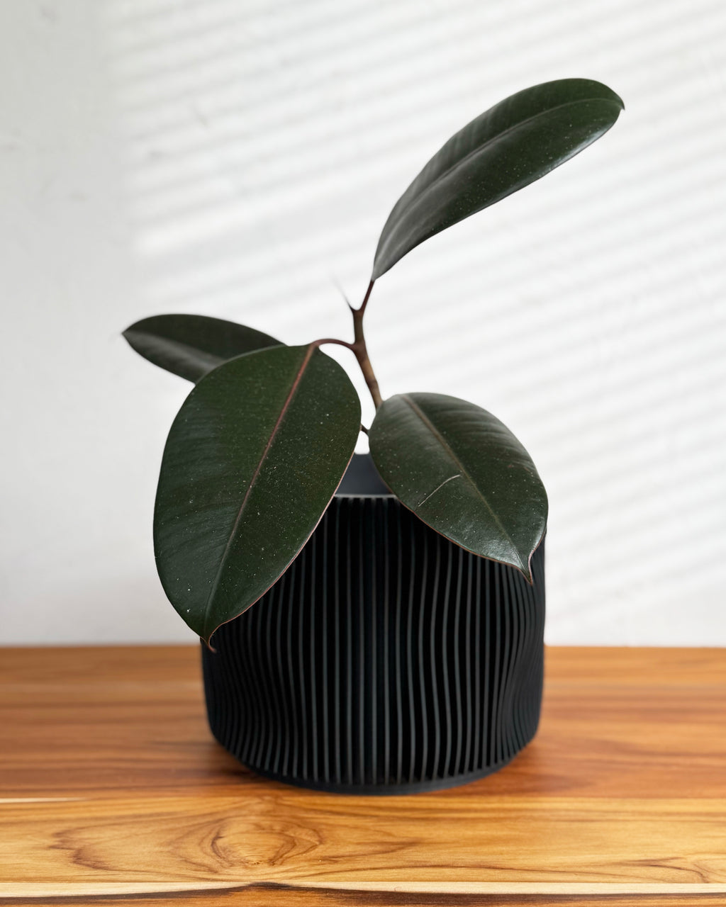 Bubbly Textured Planter