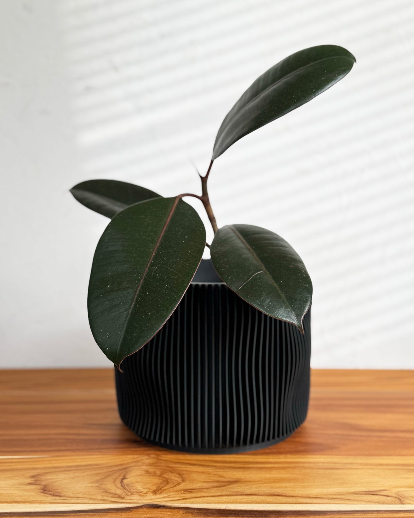 Bubbly Textured Planter