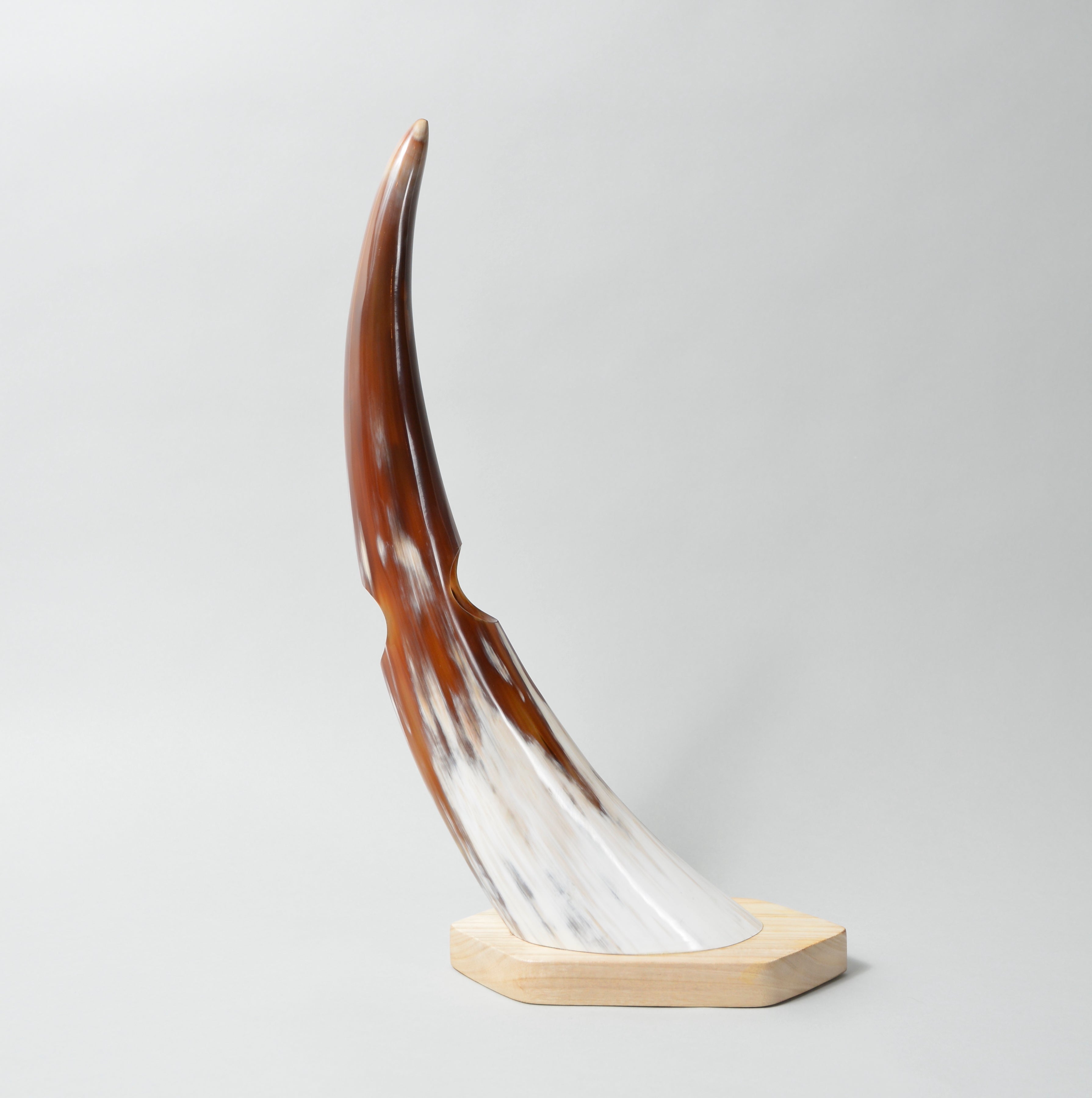 Balanced Horn Wine Bottle Holder